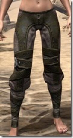 Nord-Leather-Guards-Female-Front_thumb.jpg