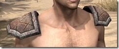 Nord-Rawhide-Arm-Cops-Male-Front_thumb.jpg
