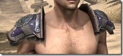 Nord-Spidersilk-Epaulets-Male-Front_thumb.jpg