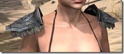 Nord-Steel-Pauldron-Female-Front_thumb.jpg