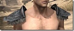 Nord-Steel-Pauldron-Male-Front_thumb.jpg