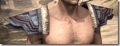 Orc-Full-Leather-Arm-Cops-Male-Front_thumb.jpg