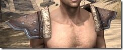 Orc-Hide-Arm-Cops-Male-Front_thumb.jpg
