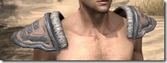 Orc-Spidersilk-Epaulets-Male-Front_thumb.jpg