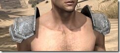 Order-of-the-Hour-Homespun-Epaulets-Male-Front_thumb.jpg