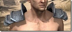 Order-of-the-Hour-Iron-Pauldron-Male-Front_thumb.jpg