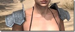 Order-of-the-Hour-Rawhide-Arm-Cops-Female-Front_thumb.jpg