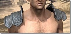 Order-of-the-Hour-Rawhide-Arm-Cops-Male-Front_thumb.jpg