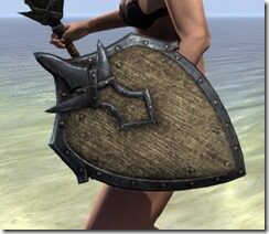 Primal-Beech-Shield-2_thumb.jpg