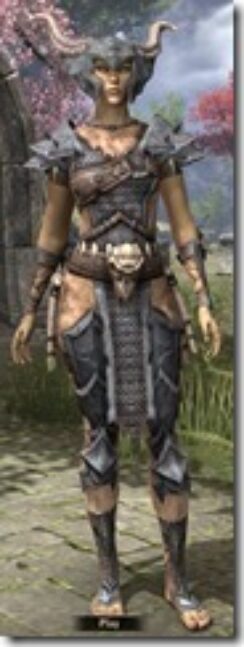 Primal-Iron-Female-Front_thumb.jpg