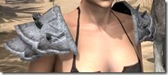 Primal-Iron-Pauldron-Female-Front_thumb.jpg
