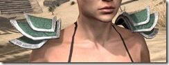 Ra-Gada-Rawhide-Arm-Cops-Female-Front_thumb.jpg