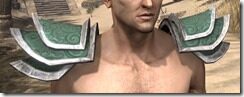 Ra-Gada-Rawhide-Arm-Cops-Male-Front_thumb.jpg
