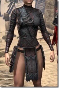 Reach-Winter-Heavy-Cuirass-Female-Front_thumb.jpg