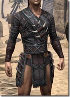 Reach-Winter-Heavy-Cuirass-Male-Front_thumb.jpg