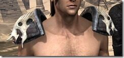 Reach-Winter-Heavy-Pauldron-Male-Front_thumb.jpg