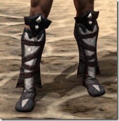 Reach-Winter-Medium-Boots-Male-Front_thumb.jpg