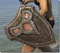 Redguard-Beech-Shield_thumb.jpg