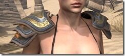 Redguard-Dwarven-Pauldron-Female-Front_thumb.jpg