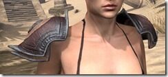Redguard-Full-Leather-Arm-Cops-Female-Front_thumb.jpg