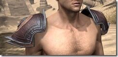 Redguard-Full-Leather-Arm-Cops-Male-Front_thumb.jpg