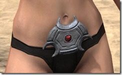 Redguard-Full-Leather-Belt-Female-Front_thumb.jpg