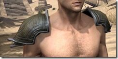 Redguard-Leather-Arm-Cops-Male-Front_thumb.jpg