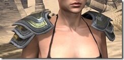 Redguard-Orichalc-Pauldron-Female-Front_thumb.jpg