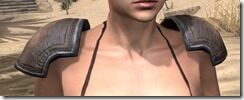 Redguard-Rawhide-Arm-Cops-Female-Front_thumb.jpg
