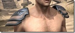 Redguard-Spidersilk-Epaulets-Male-Front_thumb.jpg