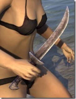 Redguard-Steel-Dagger-2_thumb.jpg