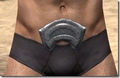 Redguard-Steel-Girdle-Male-Front_thumb.jpg
