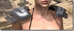 Redguard-Steel-Pauldron-Female-Front_thumb.jpg