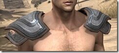 Redguard-Steel-Pauldron-Male-Front_thumb.jpg