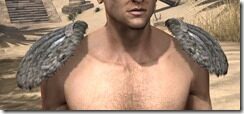 Skinchanger-Homespun-Epaulets-Male-Front_thumb.jpg