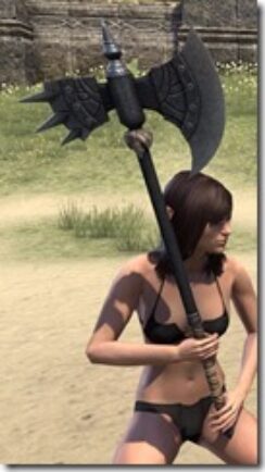 Skinchanger-Iron-Battle-Axe_thumb.jpg