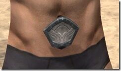Skinchanger-Iron-Girdle-Male-Front_thumb.jpg