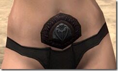 Skinchanger-Old-Medium-Belt-Female-Front_thumb.jpg