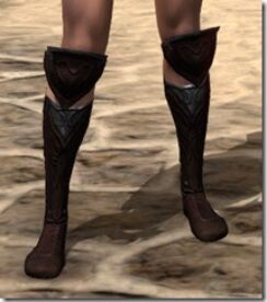 Skinchanger-Old-Medium-Boots-Female-Front_thumb.jpg