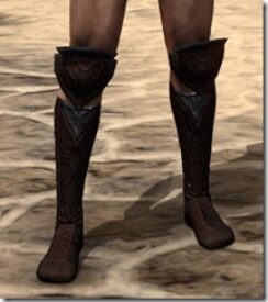 Skinchanger-Old-Medium-Boots-Male-Front_thumb.jpg
