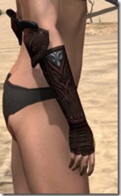 Skinchanger-Old-Medium-Bracers-Female-Right_thumb.jpg