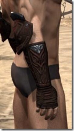 Skinchanger-Old-Medium-Bracers-Male-Right_thumb.jpg