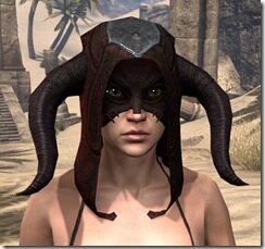 Skinchanger-Old-Medium-Helmet-Female-Front_thumb.jpg