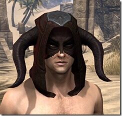 Skinchanger-Old-Medium-Helmet-Male-Front_thumb.jpg