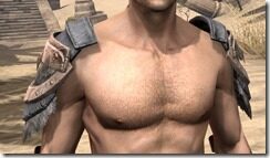 Skinchanger-Rawhide-Arm-Cops-Male-Front_thumb.jpg