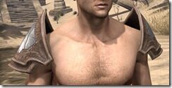 Trinimac-Rawhide-Arm-Cops-Male-Front_thumb.jpg