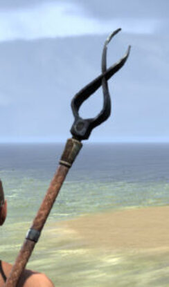 Wood Elf 3