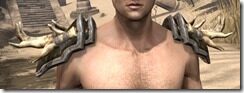 Wood-Elf-Cotton-Epaulets-Male-Front_thumb.jpg