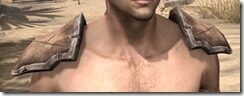 Wood-Elf-Epaulets-Male-Front_thumb.jpg