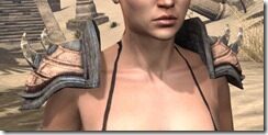 Wood-Elf-Full-Leather-Arm-Cops-Female-Front_thumb.jpg